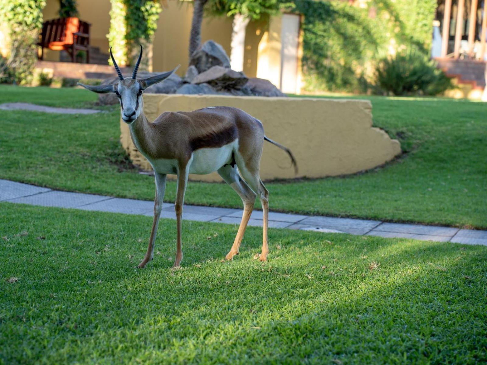 Sunriver Kalahari Lodge Riverside Stay In Upington Zewnętrze zdjęcie